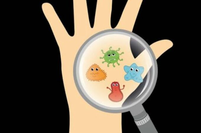 USES OF MICROORGANISMS: WHAT IS THE USEFULNESS OF IT