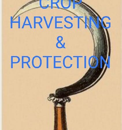 PROTECTION OF CROPS – HOW TO KNOW ABOUT PROTECT CROPS