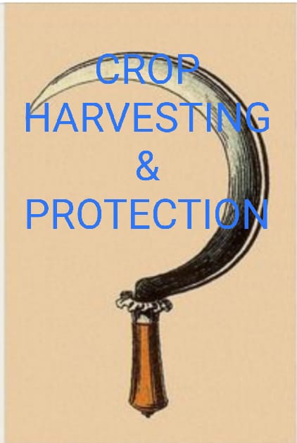 PROTECTION OF CROPS