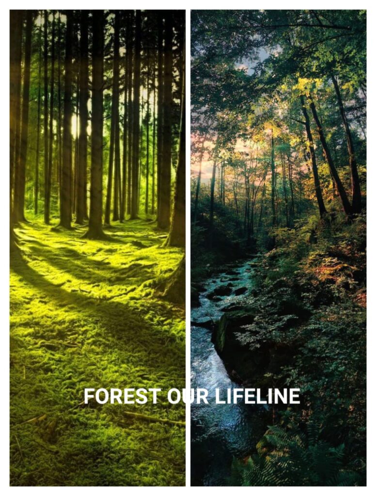 forest our lifeline gives idea of benefit of forest