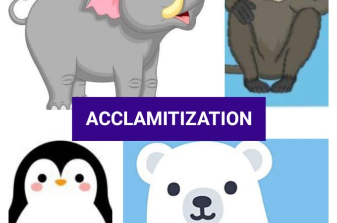 ACCLIMATIZATION IS THE TERM OF ADAPTATION