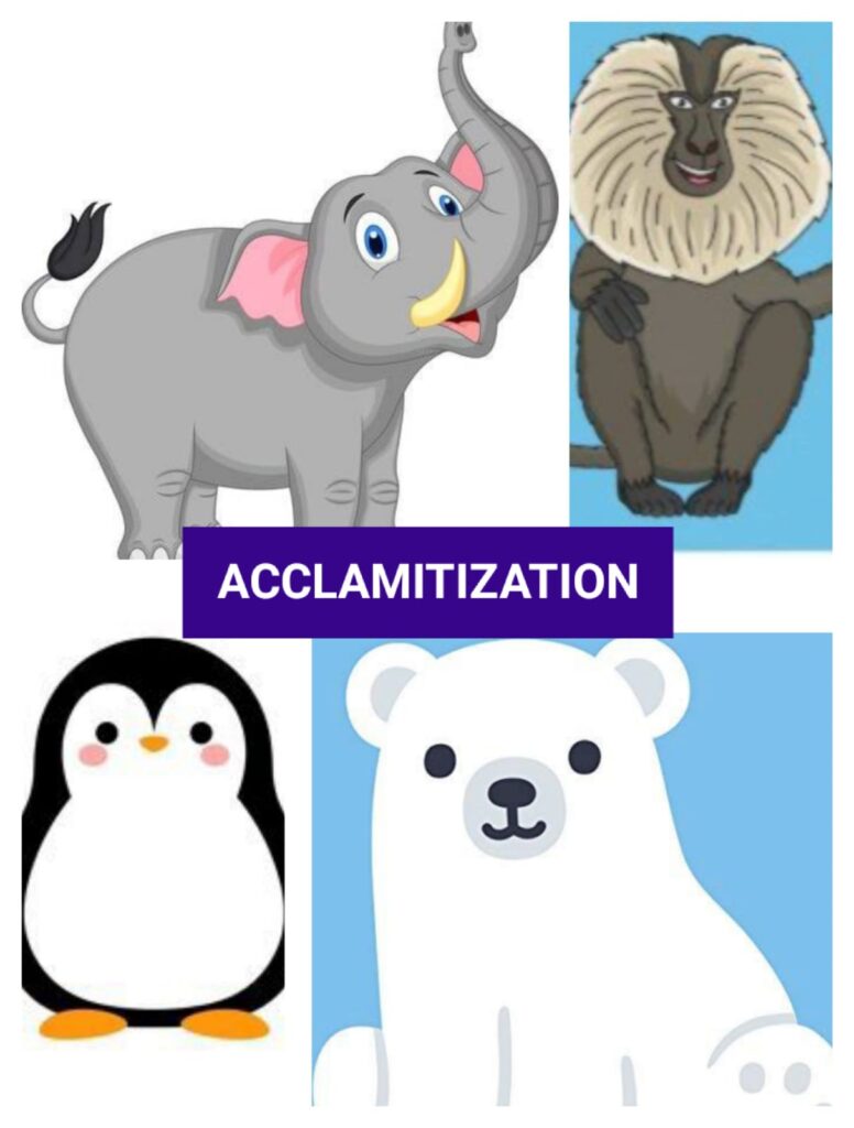 ACCLIMATIZATION FOUND IN ALL ANIMALS