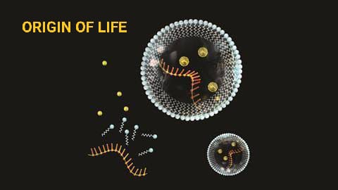 ORIGIN OF LIFE: HOW TO EXPLAIN EVOLUTION ON EARTH