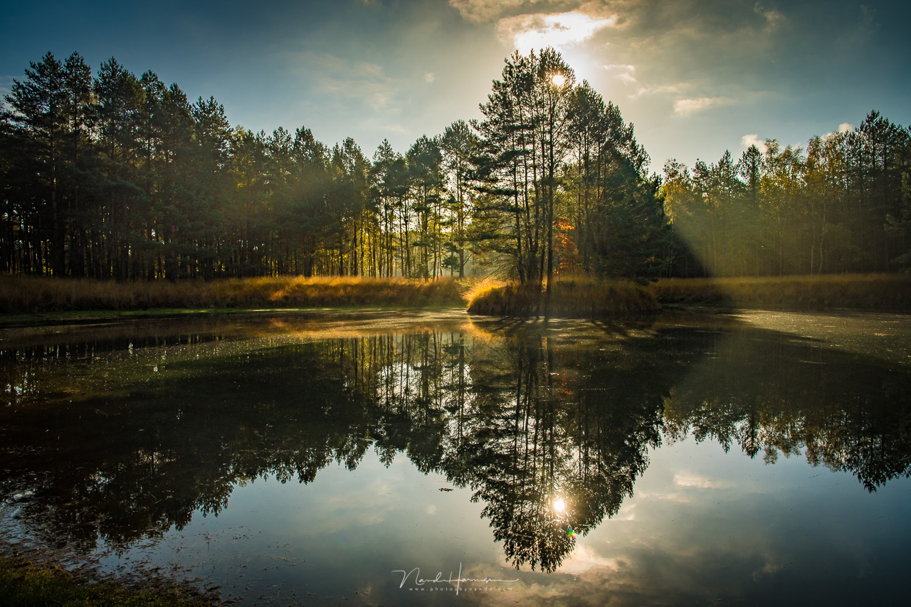 LENS FORMULA: HOW TO DRAW A REFLECTION DIAGRAM