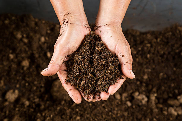 USES OF SOIL: HOW THE SOIL TEEMING WITH LIFE
